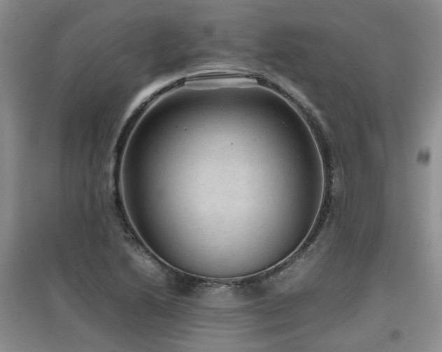 X0000097921222200803141433