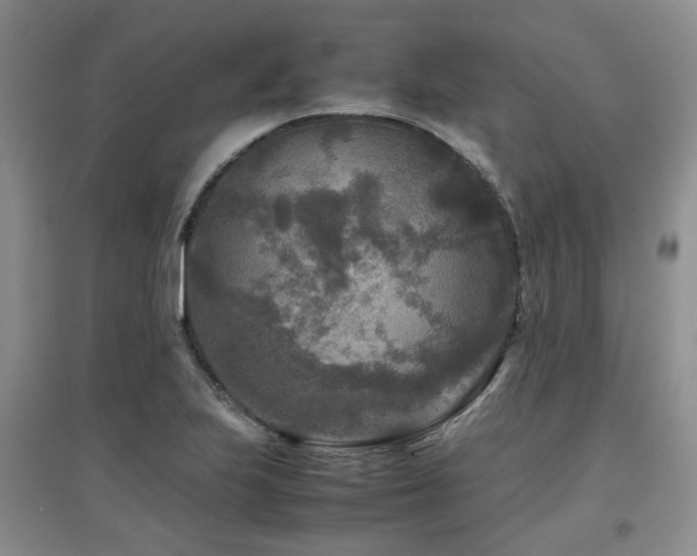 X0000097921223200803141433