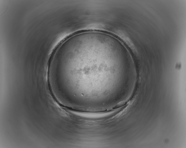 X0000097921224200803141433