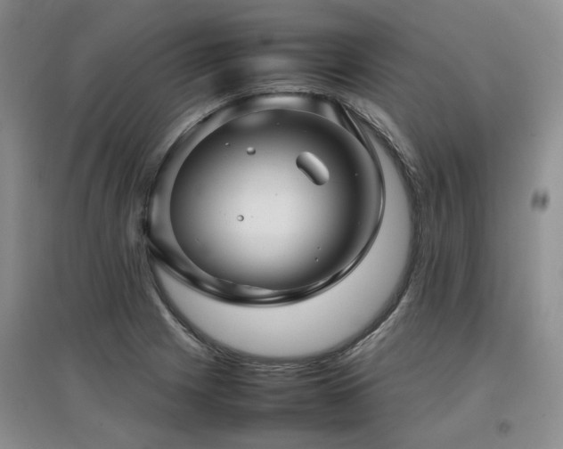 X0000097921225200803141433