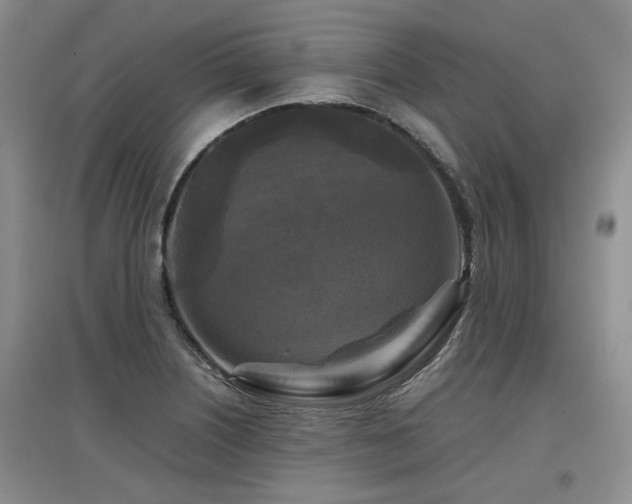 X0000097921226200803141433