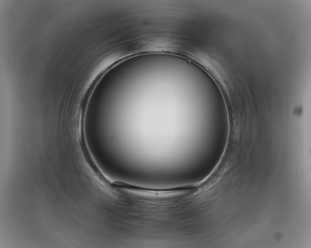 X0000097921227200803141433