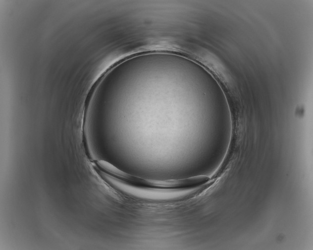 X0000097921228200803141433