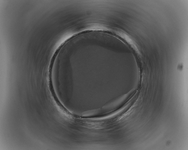 X0000097921229200803141433