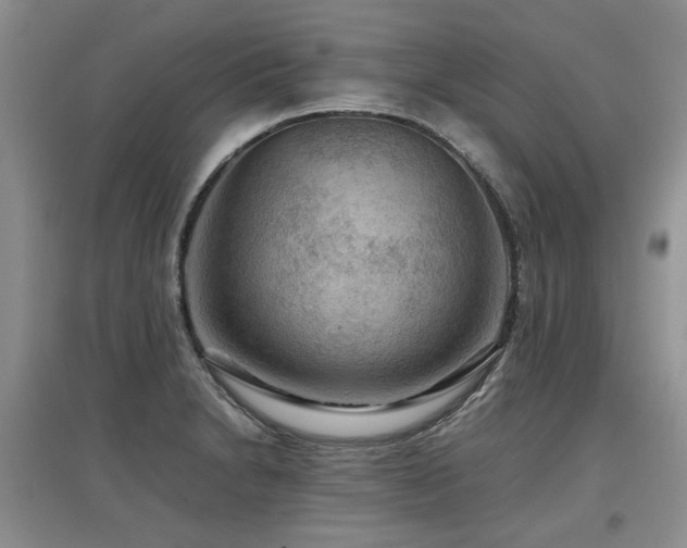 X0000097921230200803141433