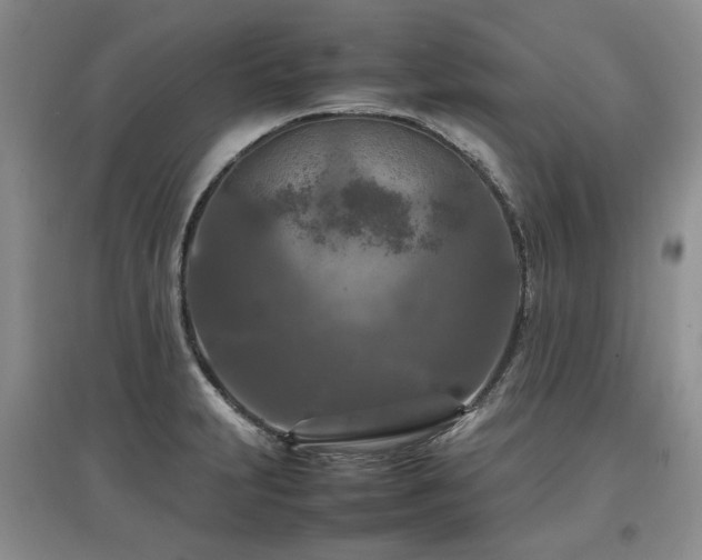 X0000097921231200803141433
