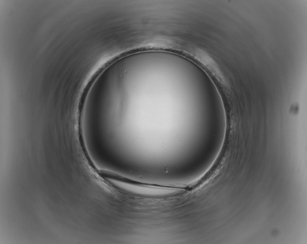 X0000097921232200803141433