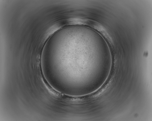 X0000097921233200803141433