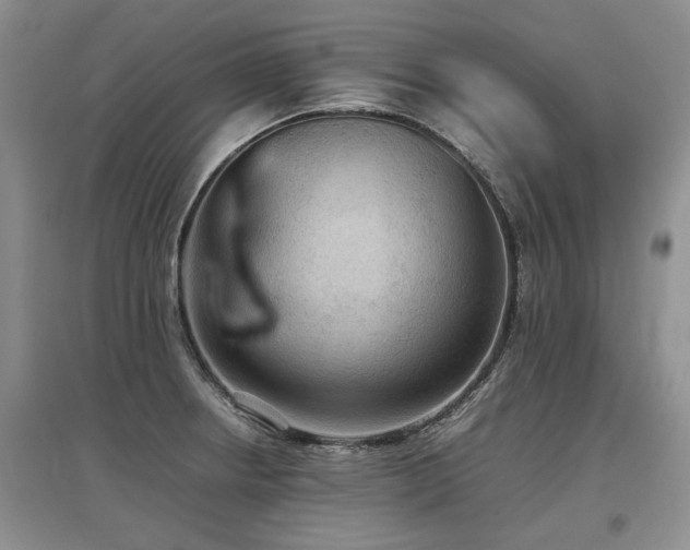 X0000097921234200803141433