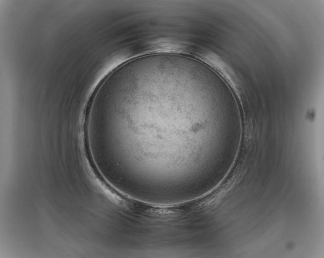 X0000097921235200803141433