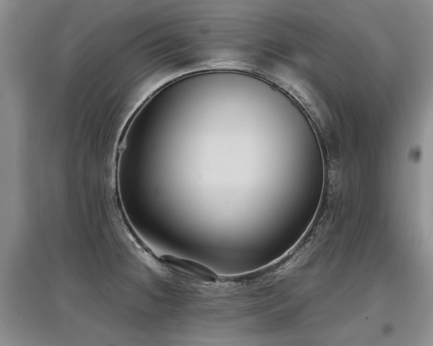 X0000097921236200803141433