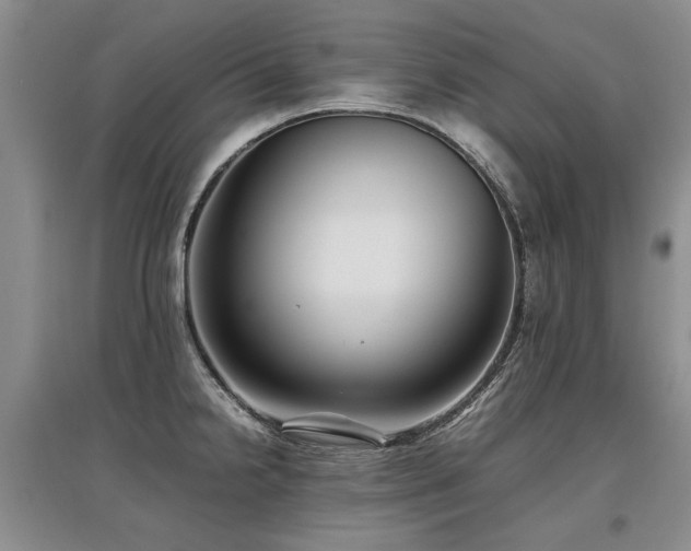 X0000097921238200803141433
