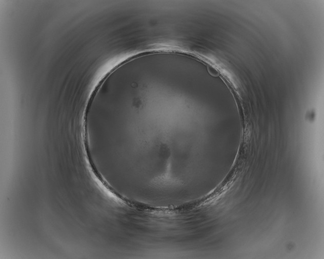 X0000097921239200803141433