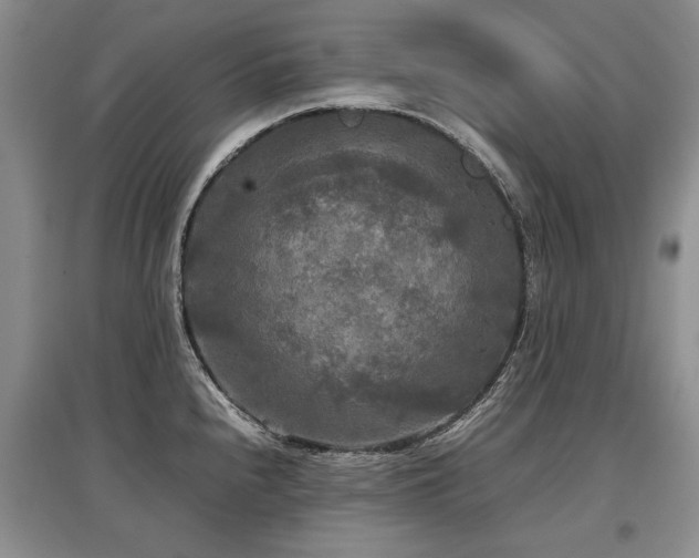 X0000097921240200803141433