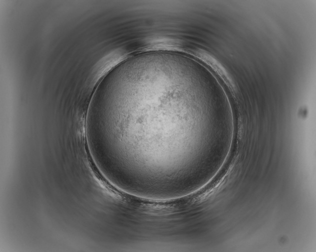 X0000097921241200803141433