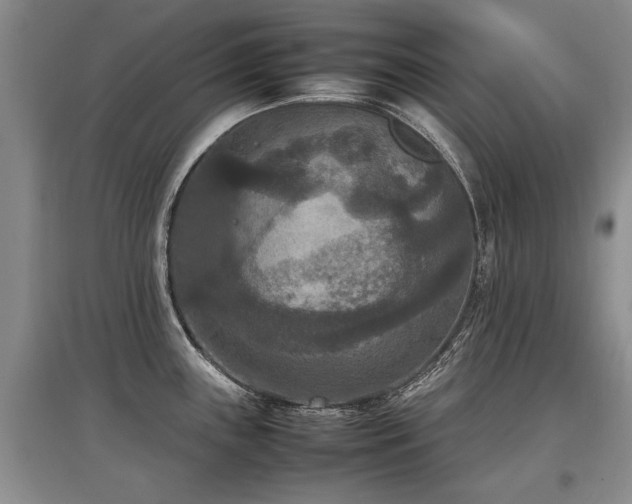 X0000097921243200803141433
