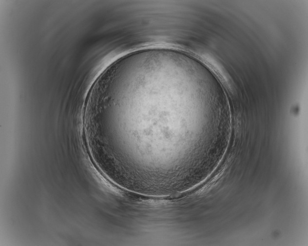 X0000097921244200803141433