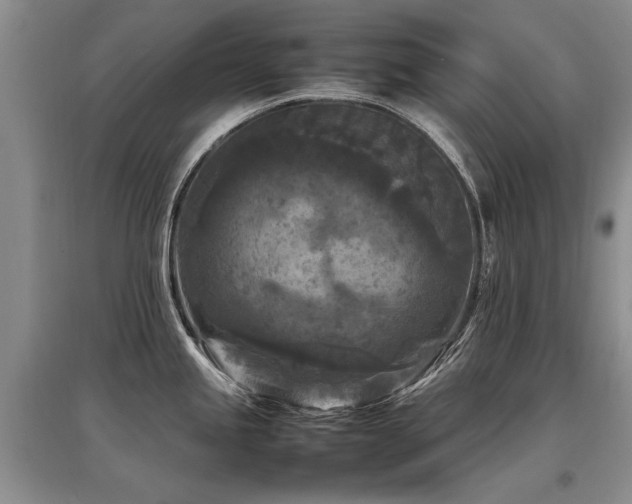 X0000097921245200803141433