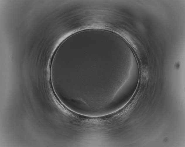 X0000097921246200803141433