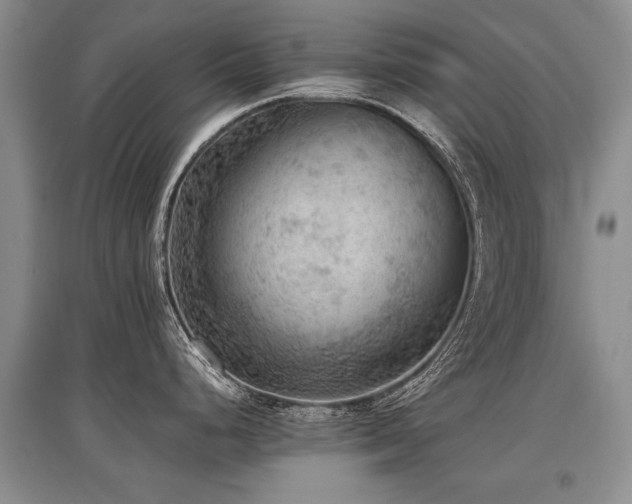 X0000097921248200803141433