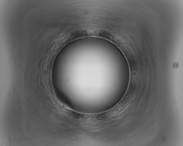 X0000097921249200803141433