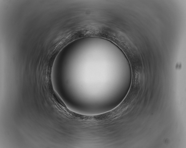 X0000097921250200803141433