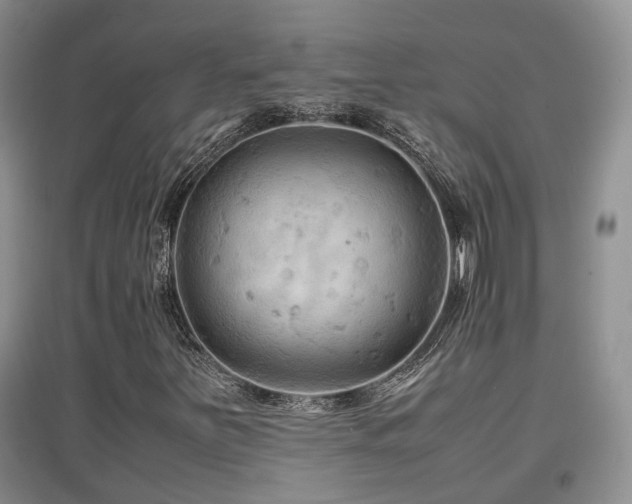 X0000097921251200803141433