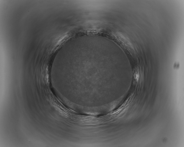 X0000097921252200803141433
