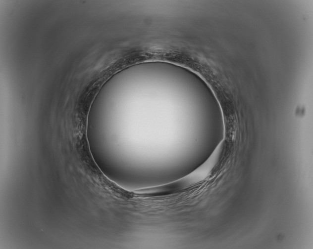 X0000097921253200803141433