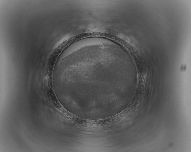 X0000097921254200803141433