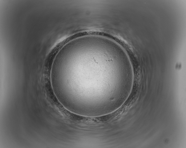 X0000097921255200803141433