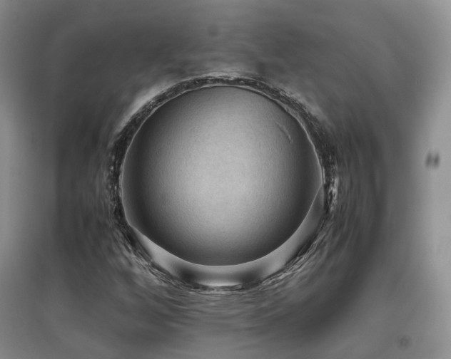 X0000097921256200803141433