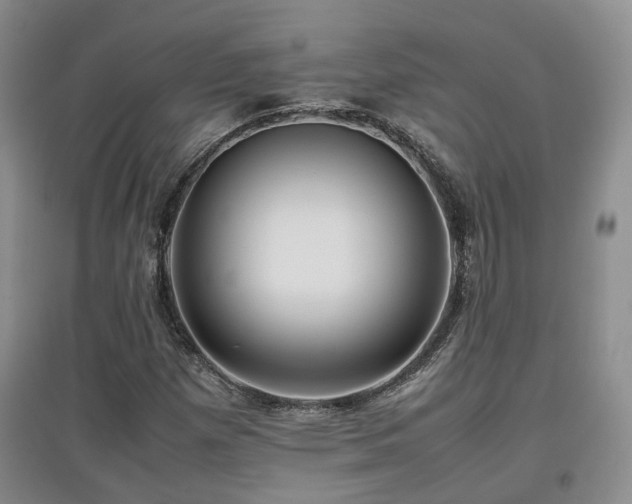X0000097921257200803141433