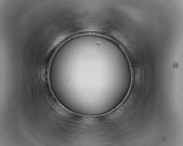 X0000097921258200803141433