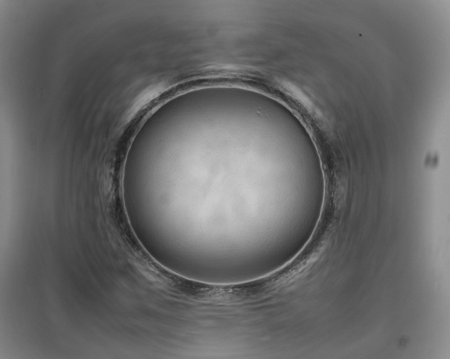 X0000097921259200803141433