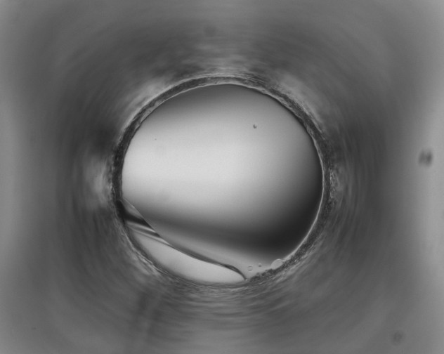 X0000097921260200803141433