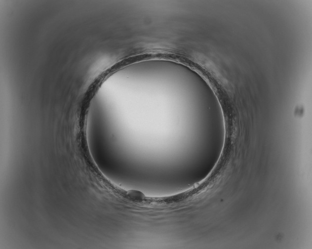 X0000097921261200803141433