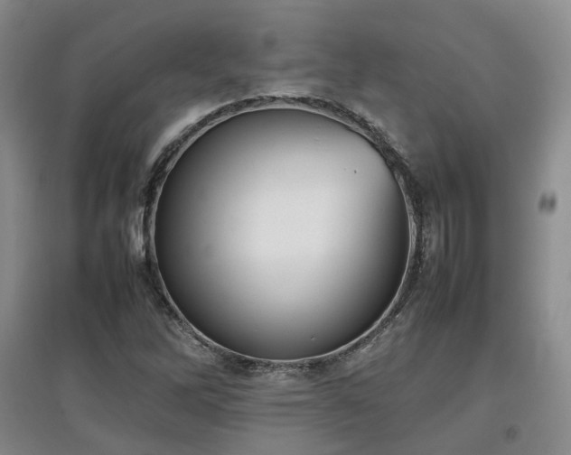 X0000097921262200803141433