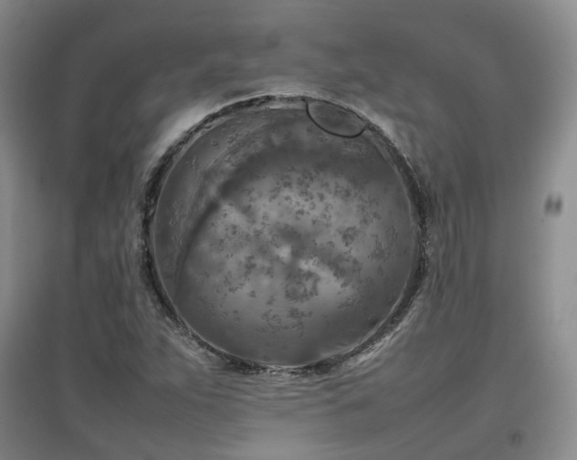 X0000097921263200803141433
