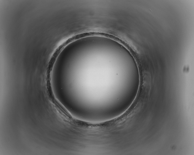 X0000097921264200803141432