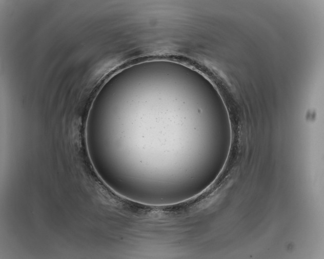 X0000097921265200803141432
