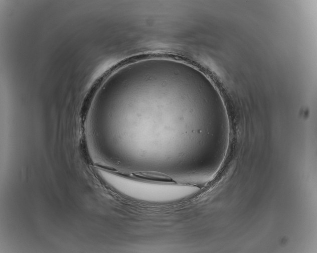 X0000097921267200803141432