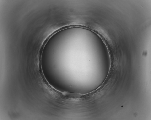 X0000097921268200803141432