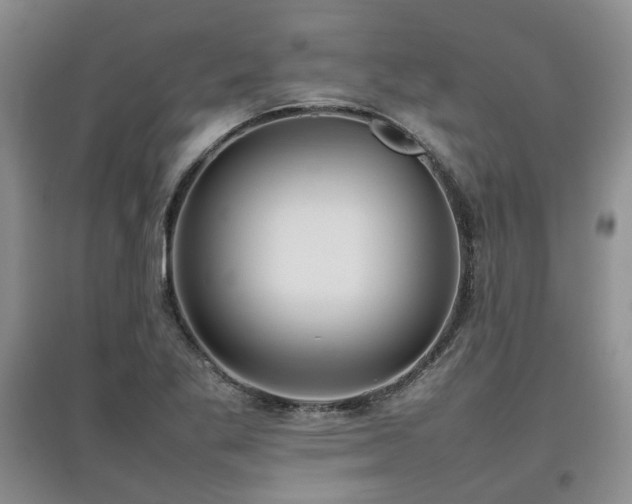 X0000097921269200803141432