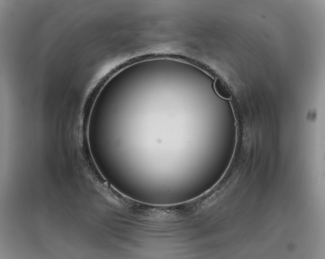 X0000097921270200803141432