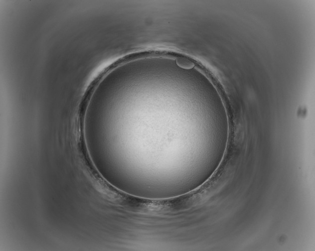 X0000097921271200803141432