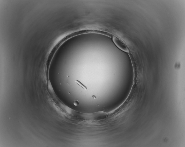 X0000097921272200803141432