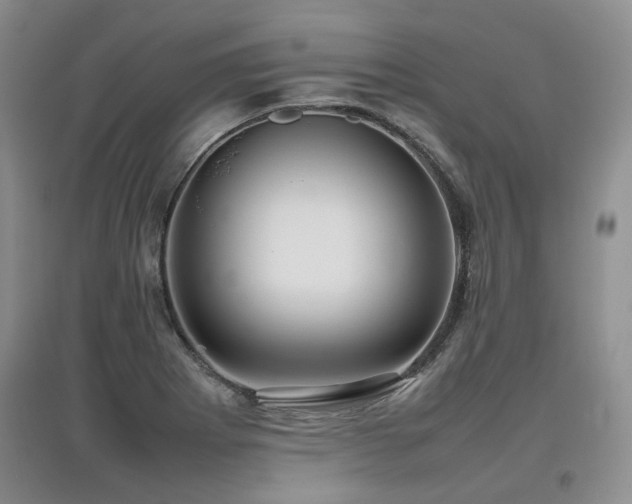 X0000097921273200803141432