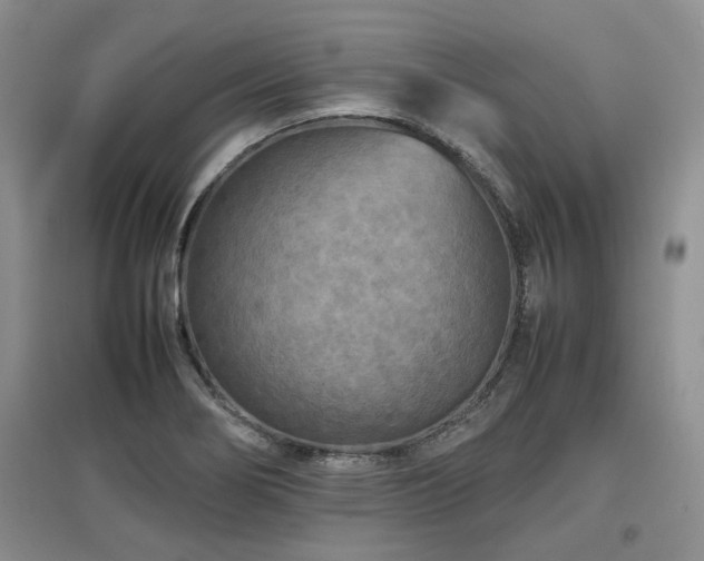 X0000097921274200803141432