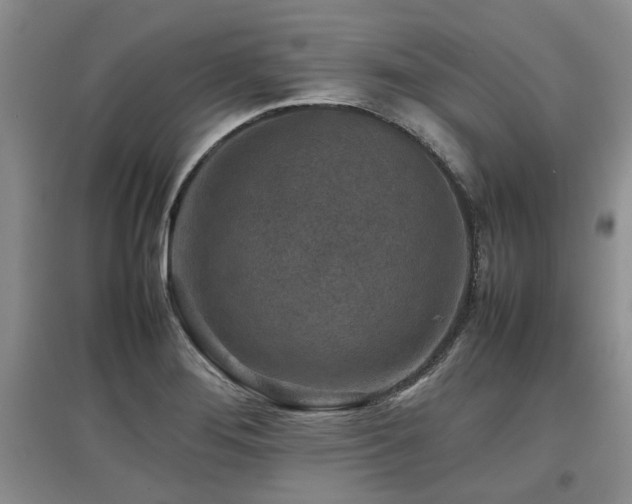 X0000097921276200803141432